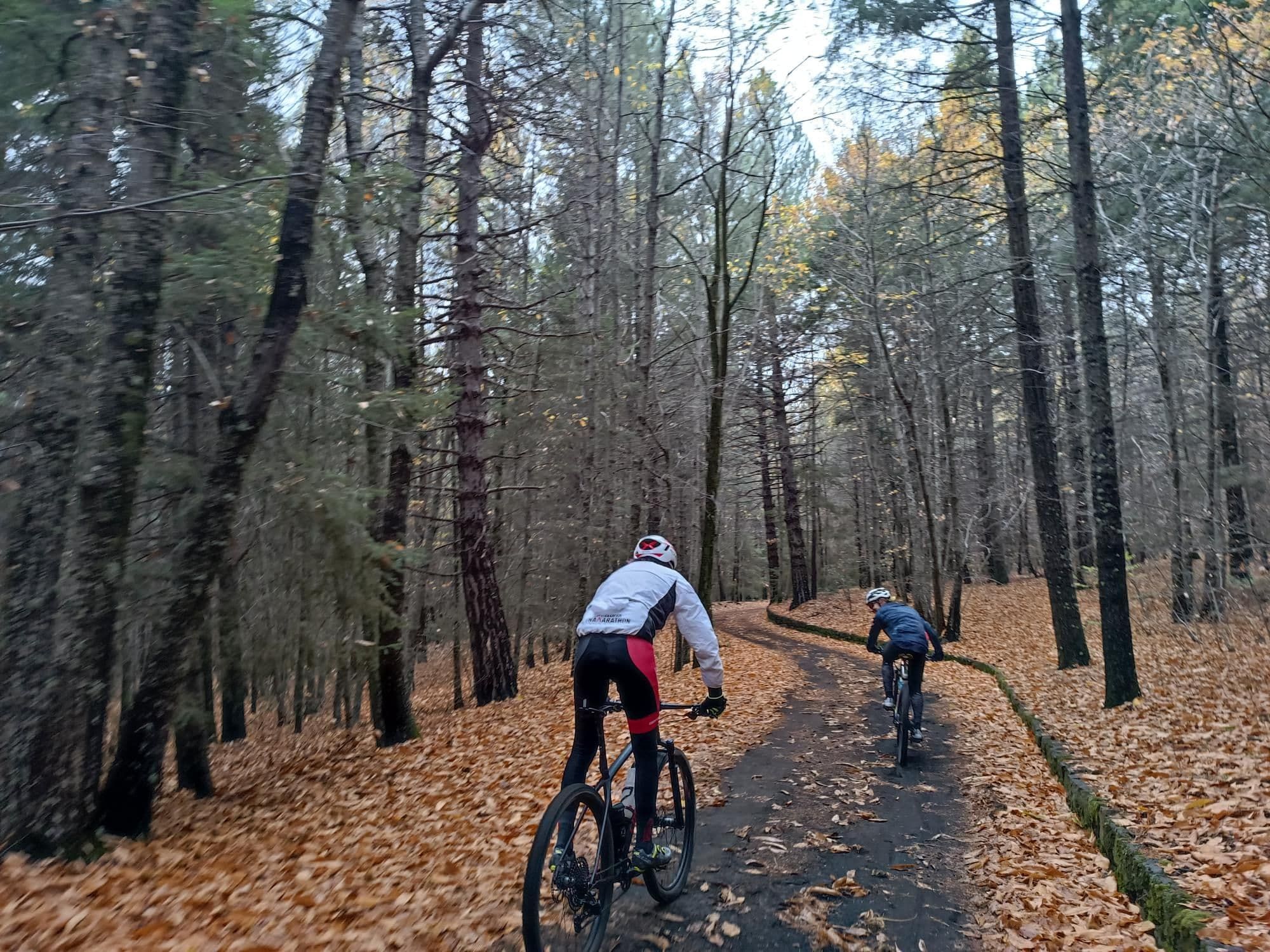 Due ciclisti su un sentiero nel bosco coperto di foglie secche
