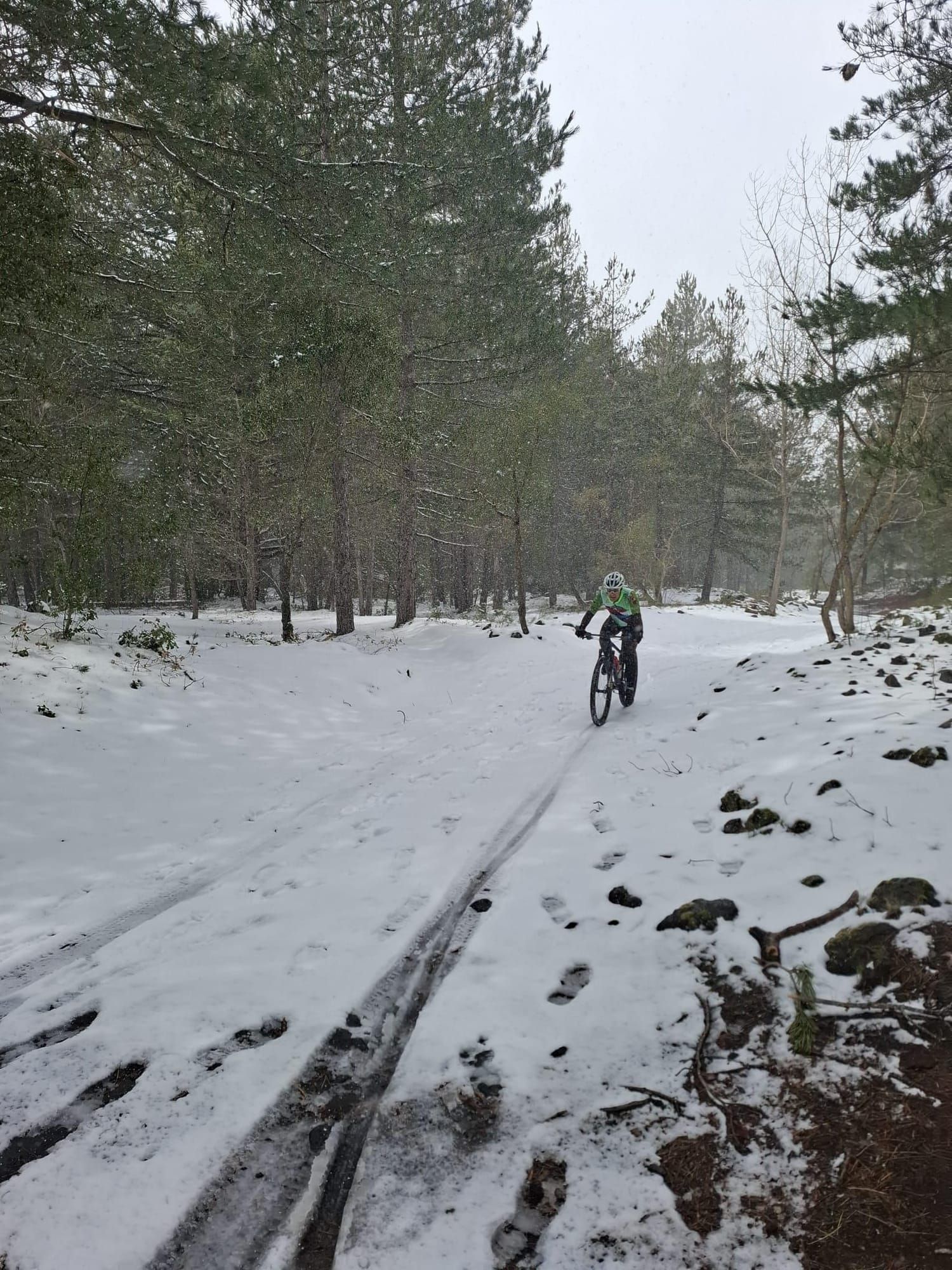 Un ciclista scende su un sentiero innevato nella pineta
