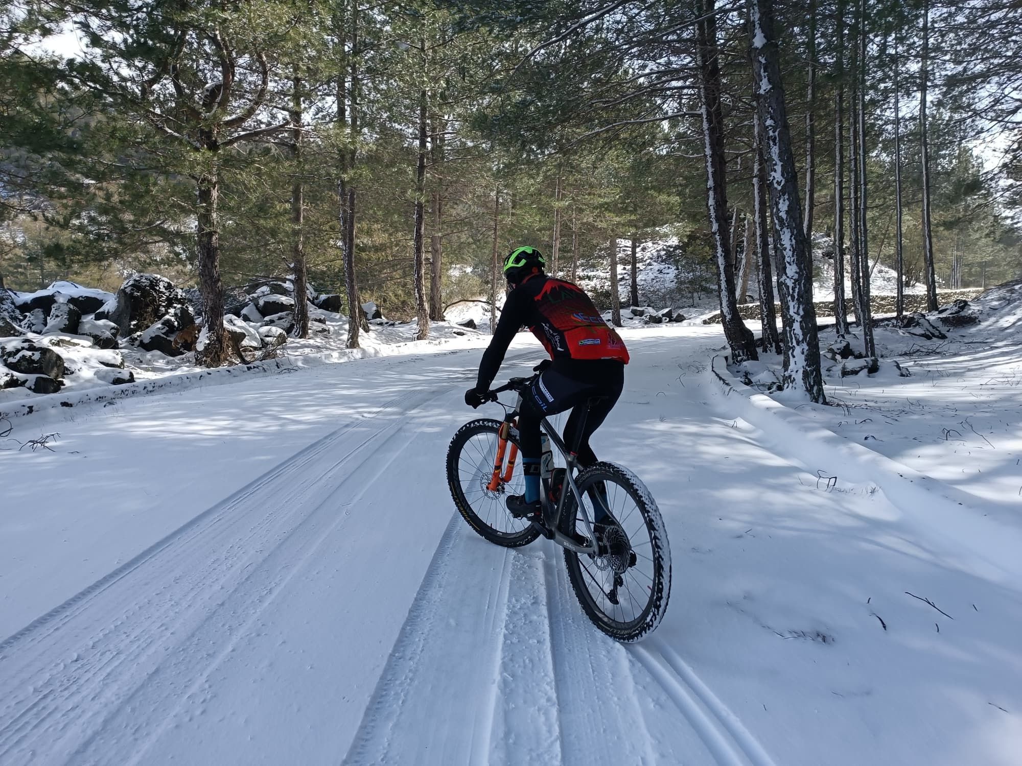 Un ciclista in mountain bike su una pista forestale innevata tra i pini