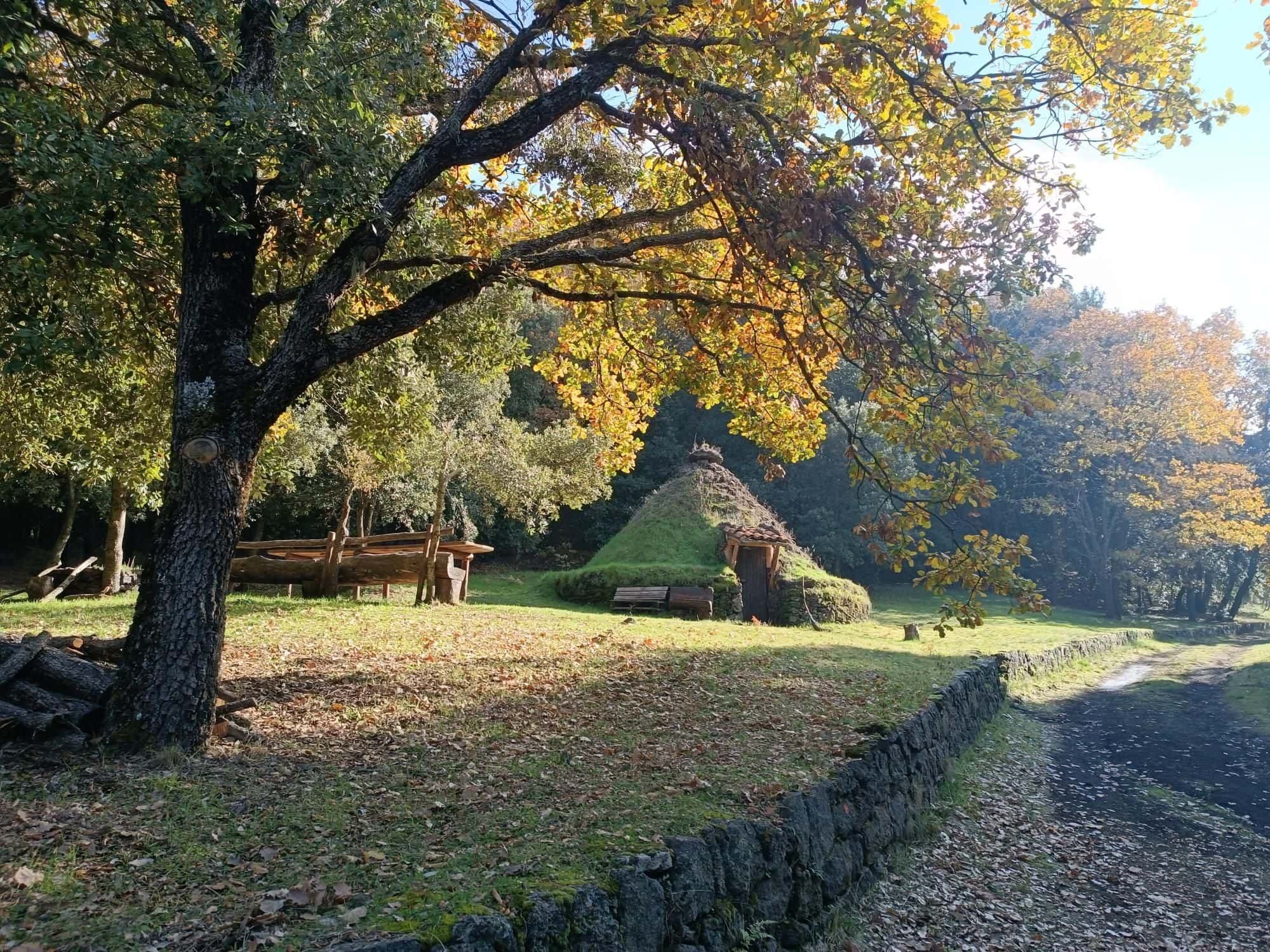 Un pagghiaru, la tradizionale capanna in pietra lavica coperta d'erba, sotto una quercia autunnale