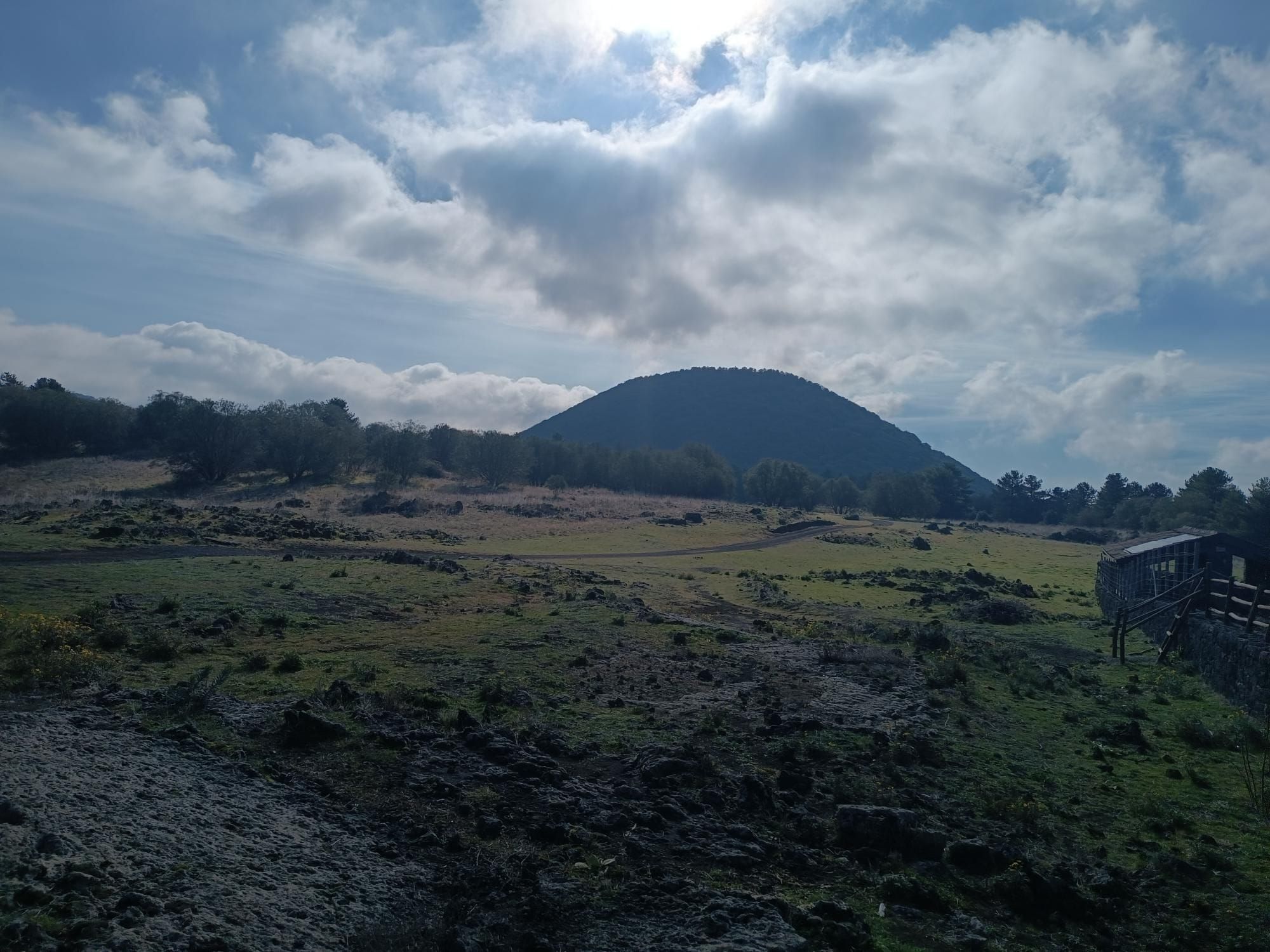 Prati e rocce laviche ai piedi di un cono vulcanico ricoperto di bosco