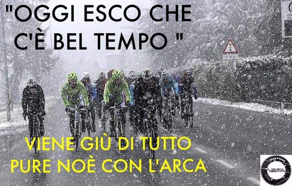 Vignetta