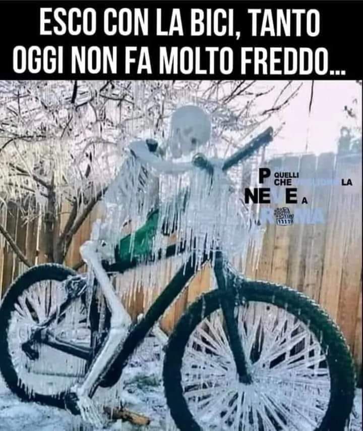 Vignetta