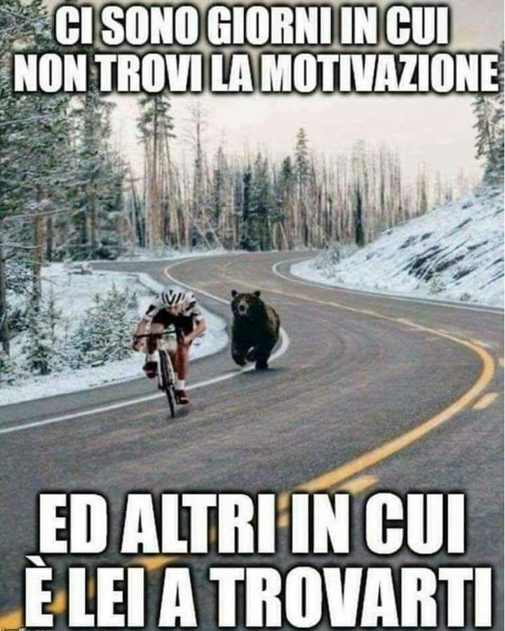 Vignetta